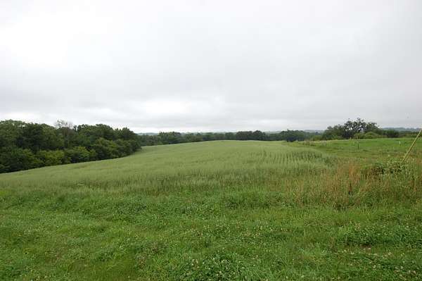 64.8 Acres of Agricultural & Residential Land for Sale in Soldiers Grove, Wisconsin