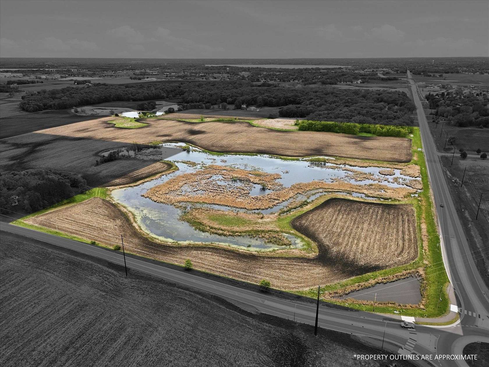 59.4 Acres of Land for Sale in Buffalo, Minnesota
