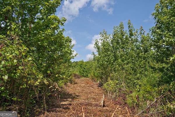 5.18 Acres of Residential Land for Sale in Culloden, Georgia