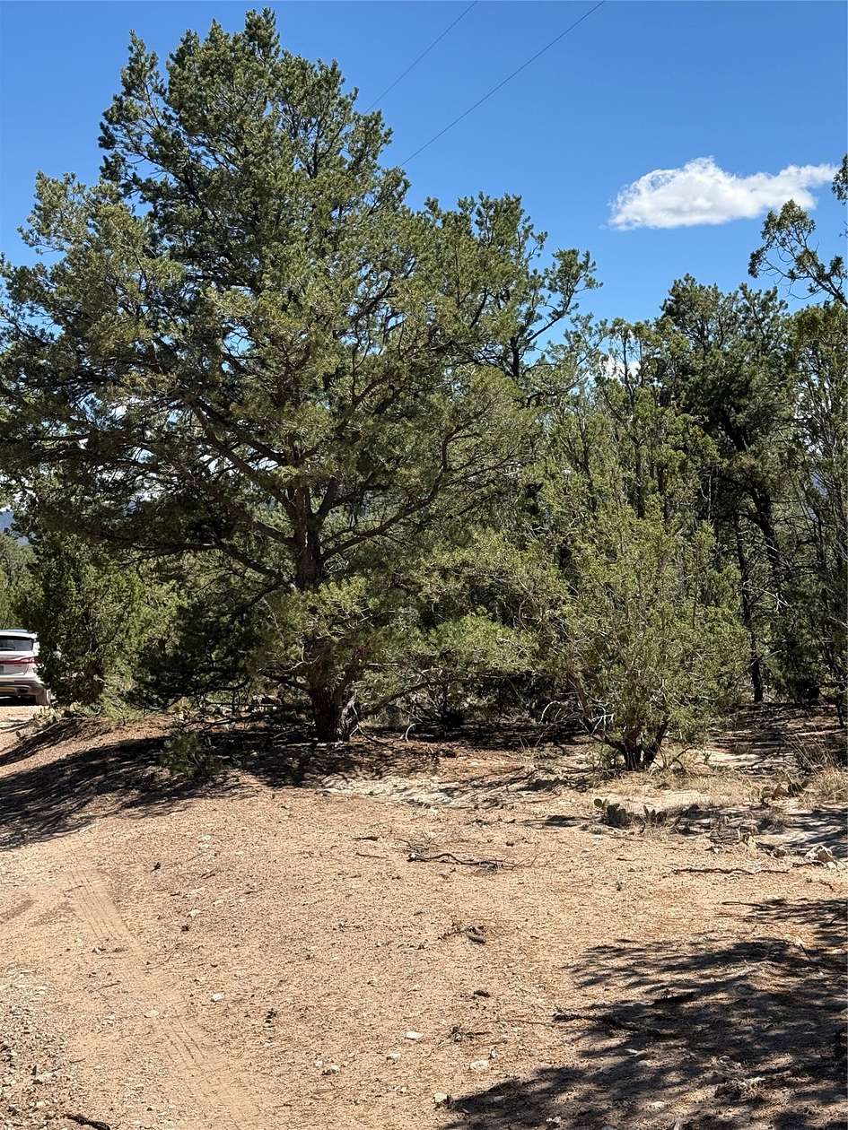 10 Acres of Residential Land for Sale in San Ysidro, New Mexico