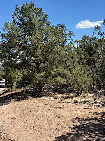 10 Acres of Residential Land for Sale in San Ysidro, New Mexico