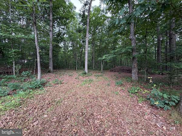 2 Acres of Residential Land for Sale in Mathias, West Virginia