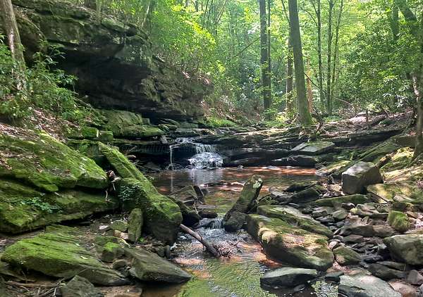 30 Acres of Recreational & Residential Land for Sale in Carbon Hill, Alabama