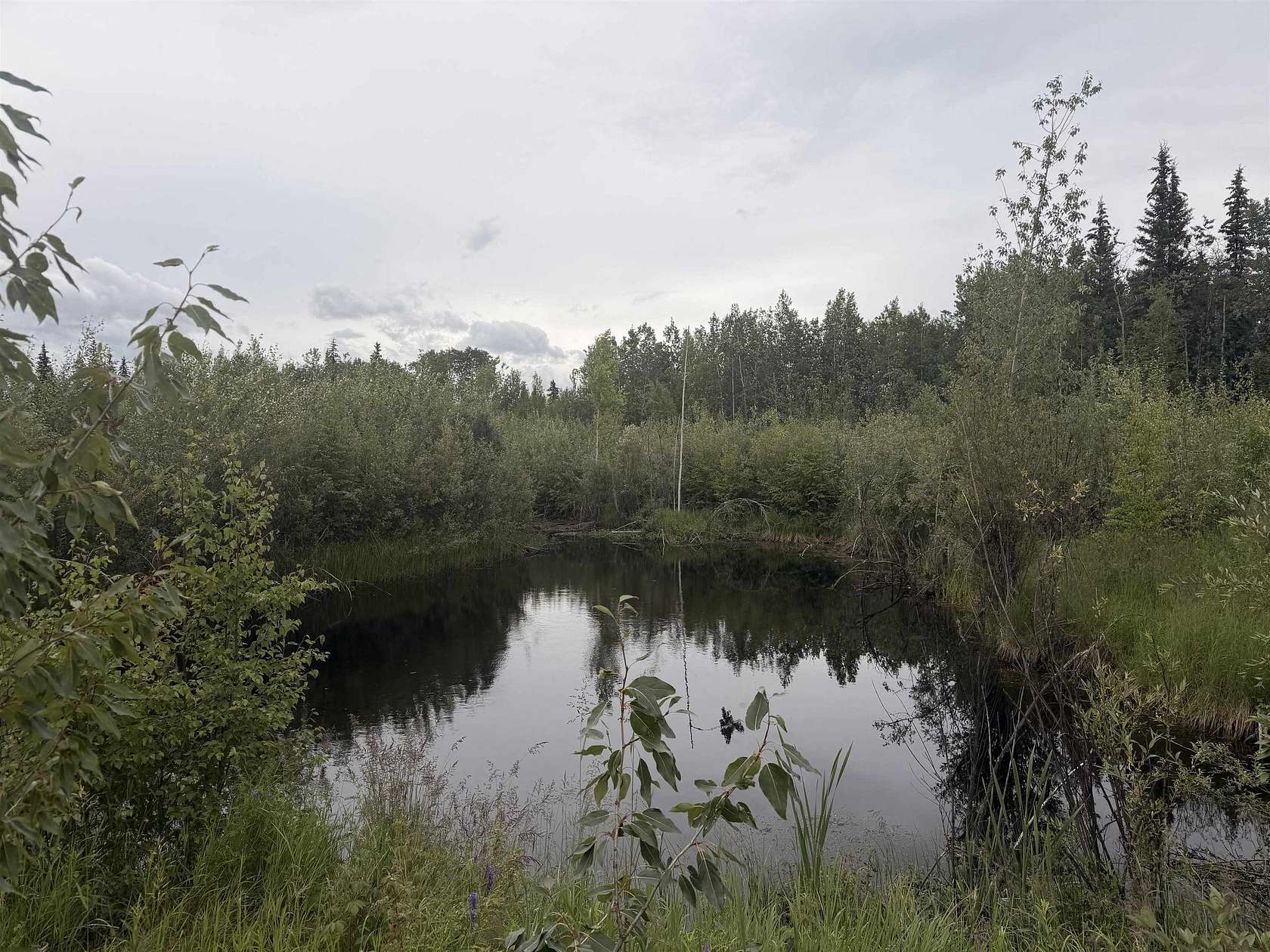 5 Acres of Residential Land for Sale in North Pole, Alaska