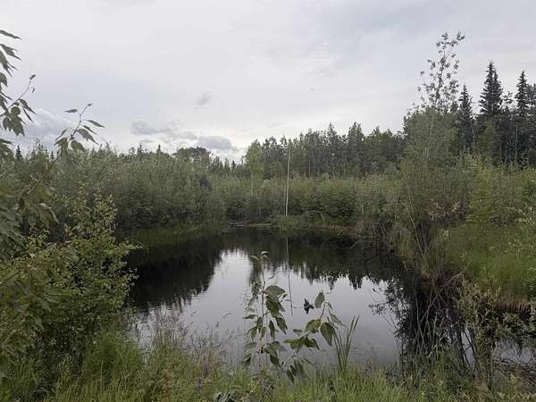 5 Acres of Residential Land for Sale in North Pole, Alaska