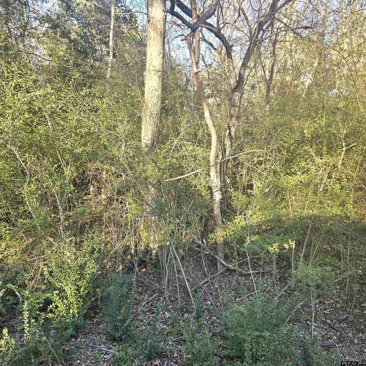 0.29 Acres of Residential Land for Sale in Bullard, Texas