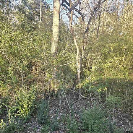 0.29 Acres of Residential Land for Sale in Bullard, Texas