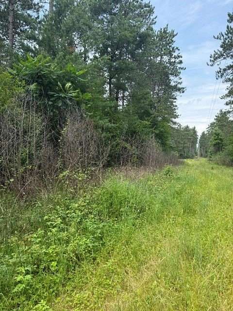 90 Acres of Recreational & Residential Land for Sale in Black River Falls, Wisconsin