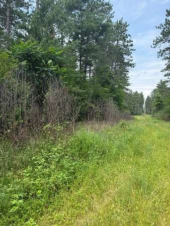 90 Acres of Recreational & Residential Land for Sale in Black River Falls, Wisconsin