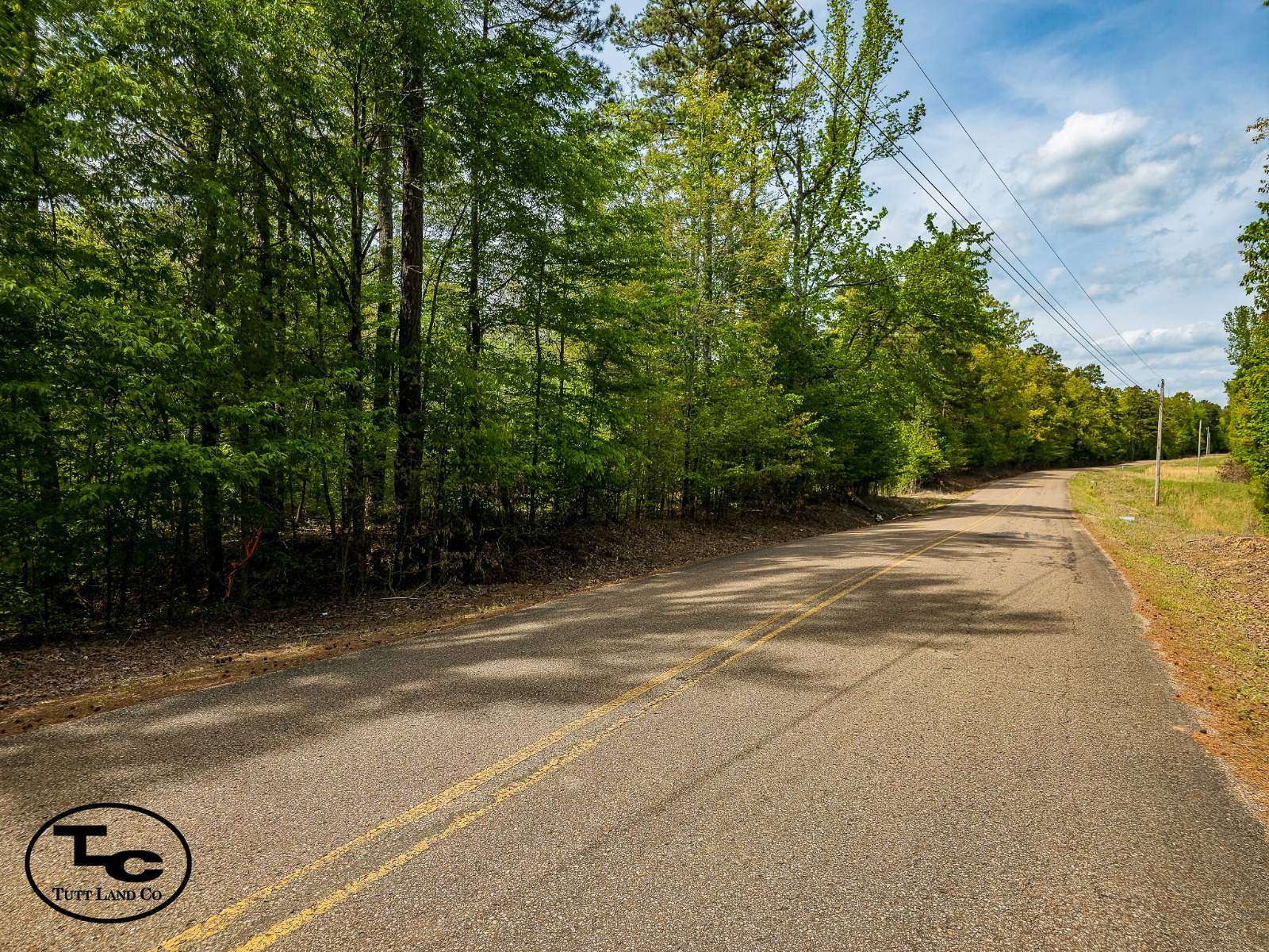 12.3 Acres of Recreational & Residential Land for Sale in Hornsby, Tennessee