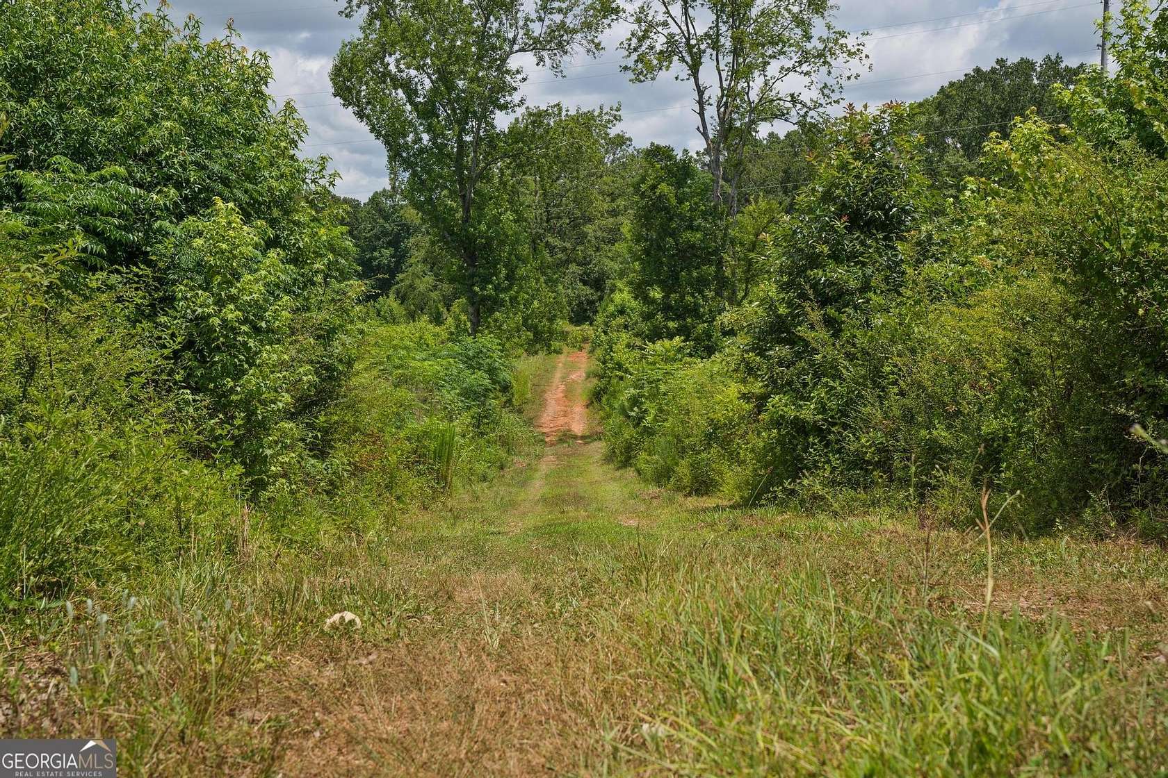 6.53 Acres of Residential Land for Sale in Culloden, Georgia