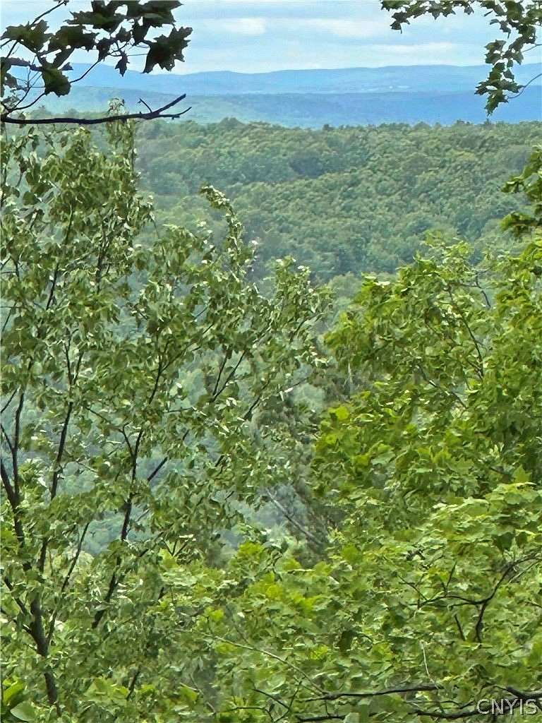 87.9 Acres of Recreational & Residential Land for Sale in Binghamton, New York