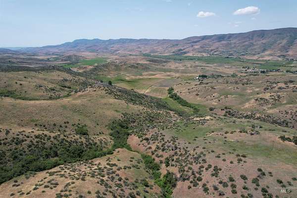 159 Acres of Land for Sale in Ola, Idaho