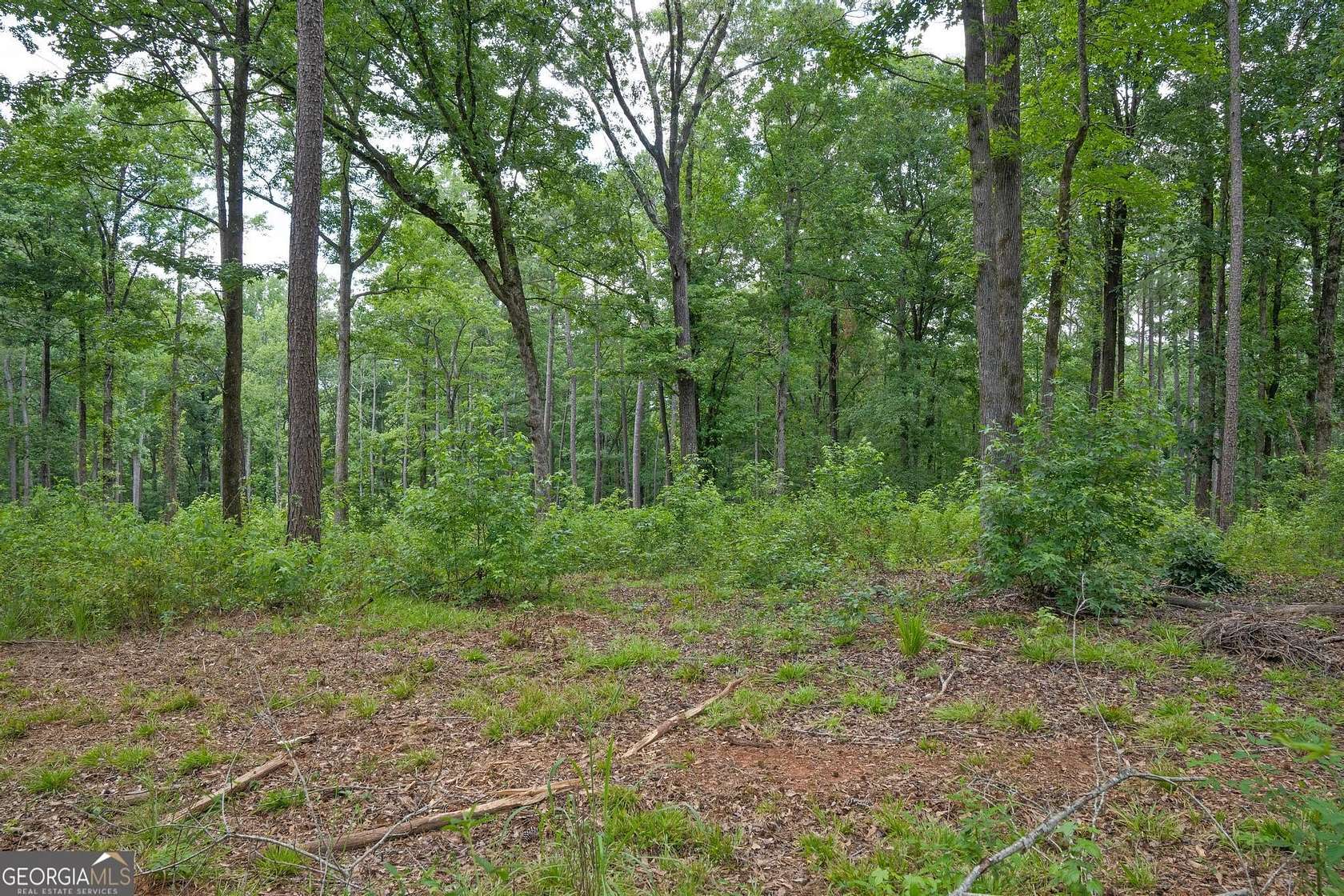 5.4 Acres of Residential Land for Sale in Culloden, Georgia