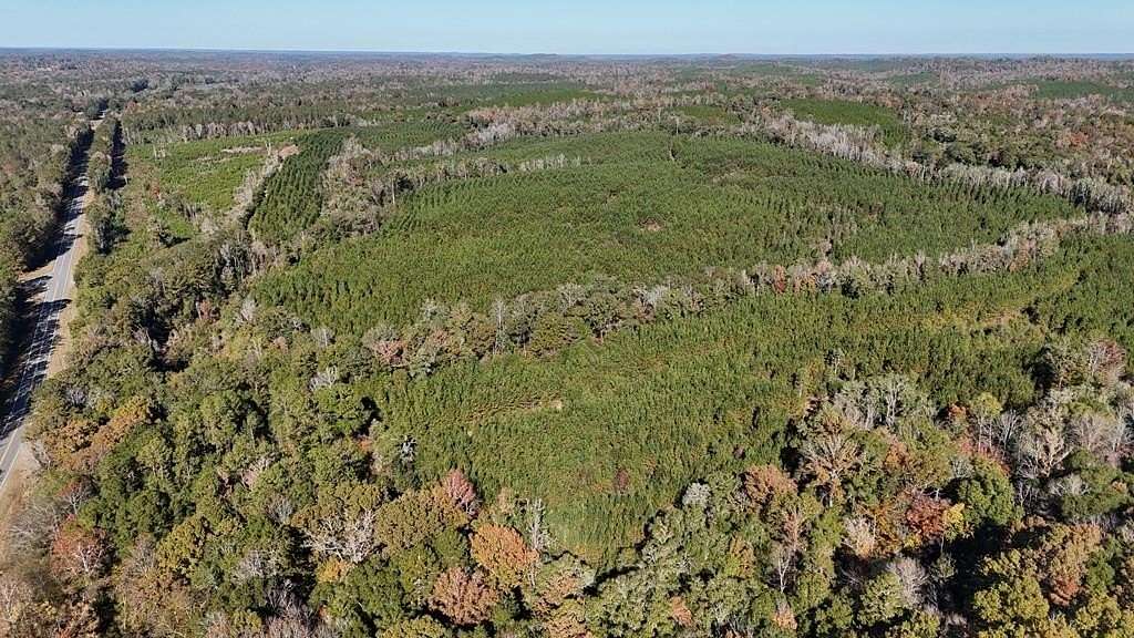 257 Acres of Recreational Land for Sale in Eufaula, Alabama