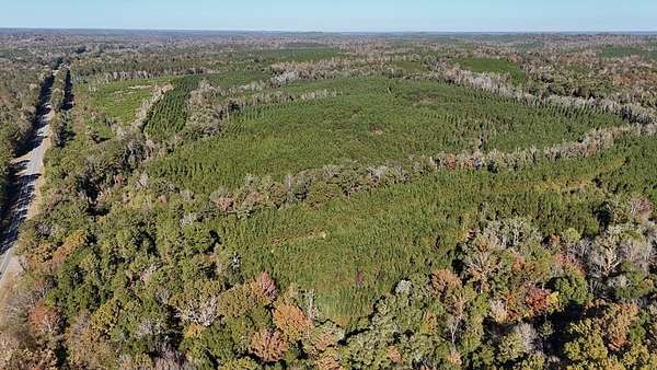 257 Acres of Recreational Land for Sale in Eufaula, Alabama
