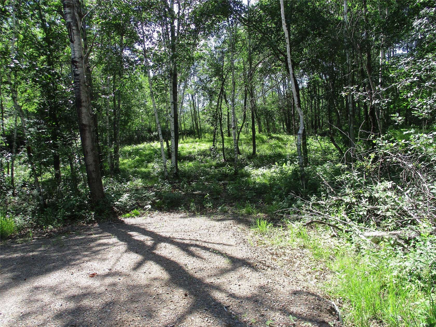 0.92 Acres of Residential Land for Sale in Birchwood, Wisconsin