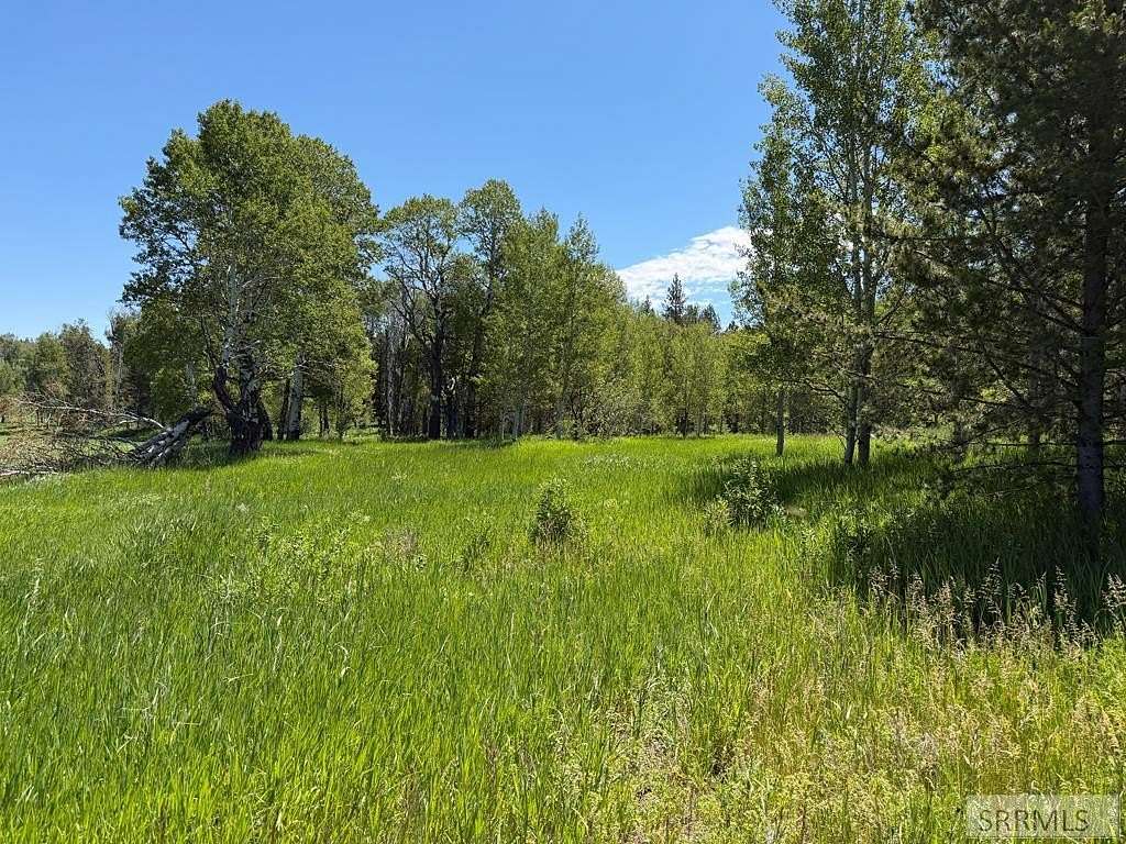 22 Acres of Recreational & Residential Land for Sale in Ashton, Idaho