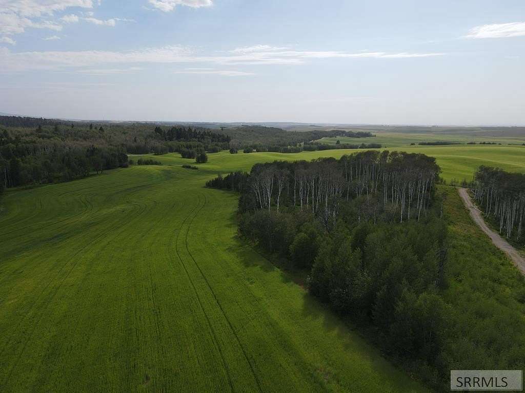 22 Acres of Recreational & Residential Land for Sale in Ashton, Idaho