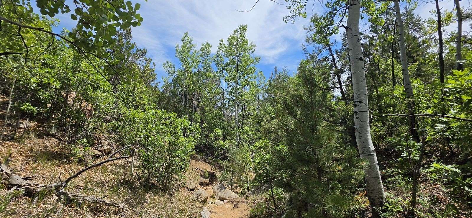 6.72 Acres of Residential Land for Sale in Cotopaxi, Colorado