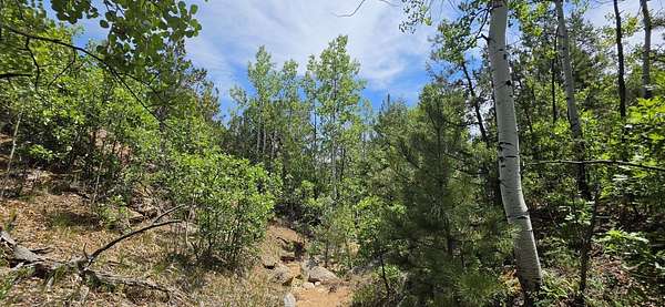 6.72 Acres of Residential Land for Sale in Cotopaxi, Colorado