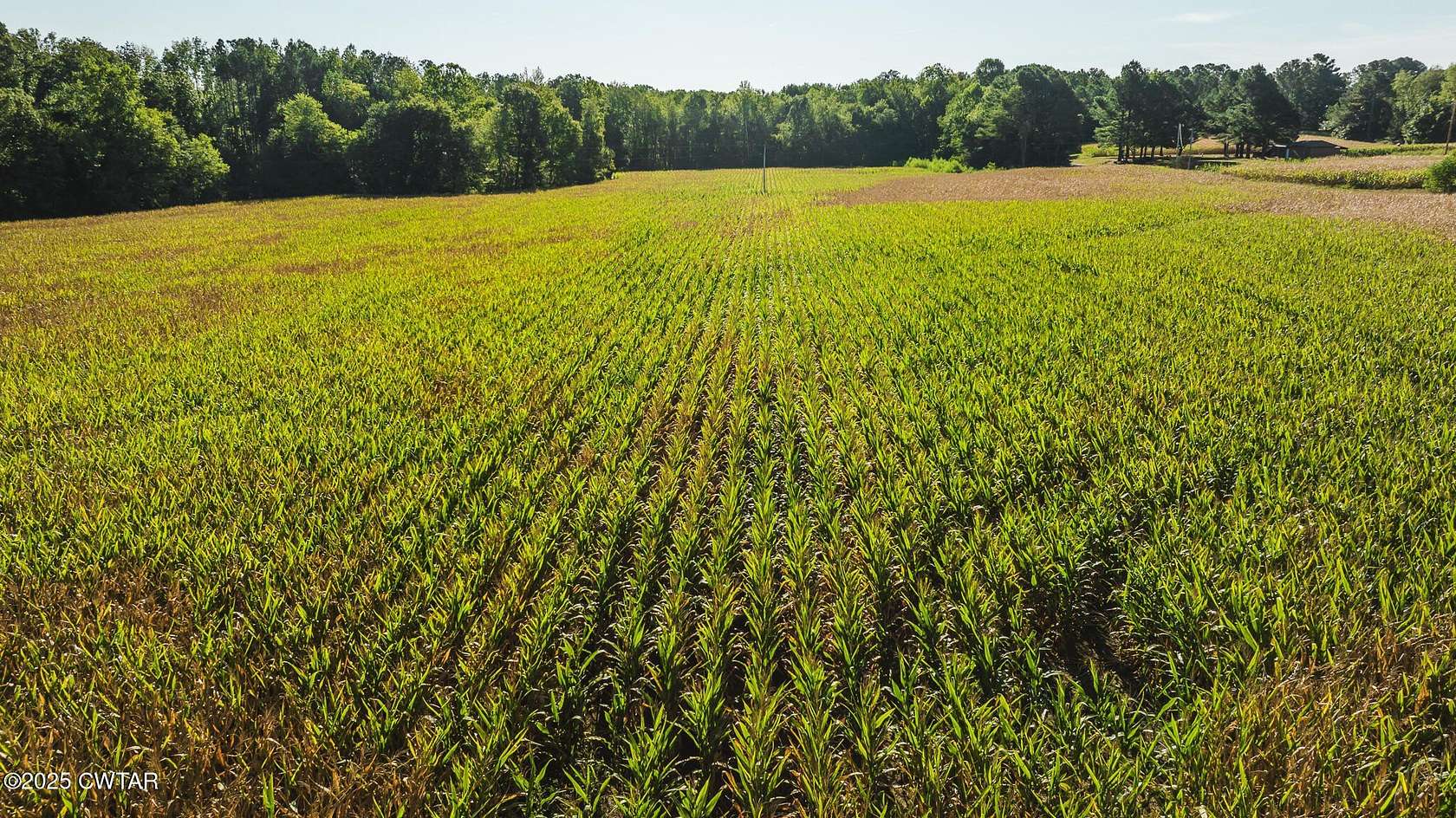 35 Acres of Land for Sale in Dukedom, Tennessee