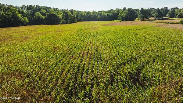 35 Acres of Land for Sale in Dukedom, Tennessee