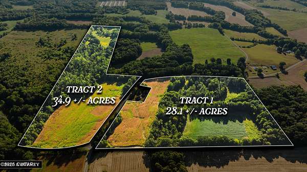 28.2 Acres of Land for Sale in Dukedom, Tennessee