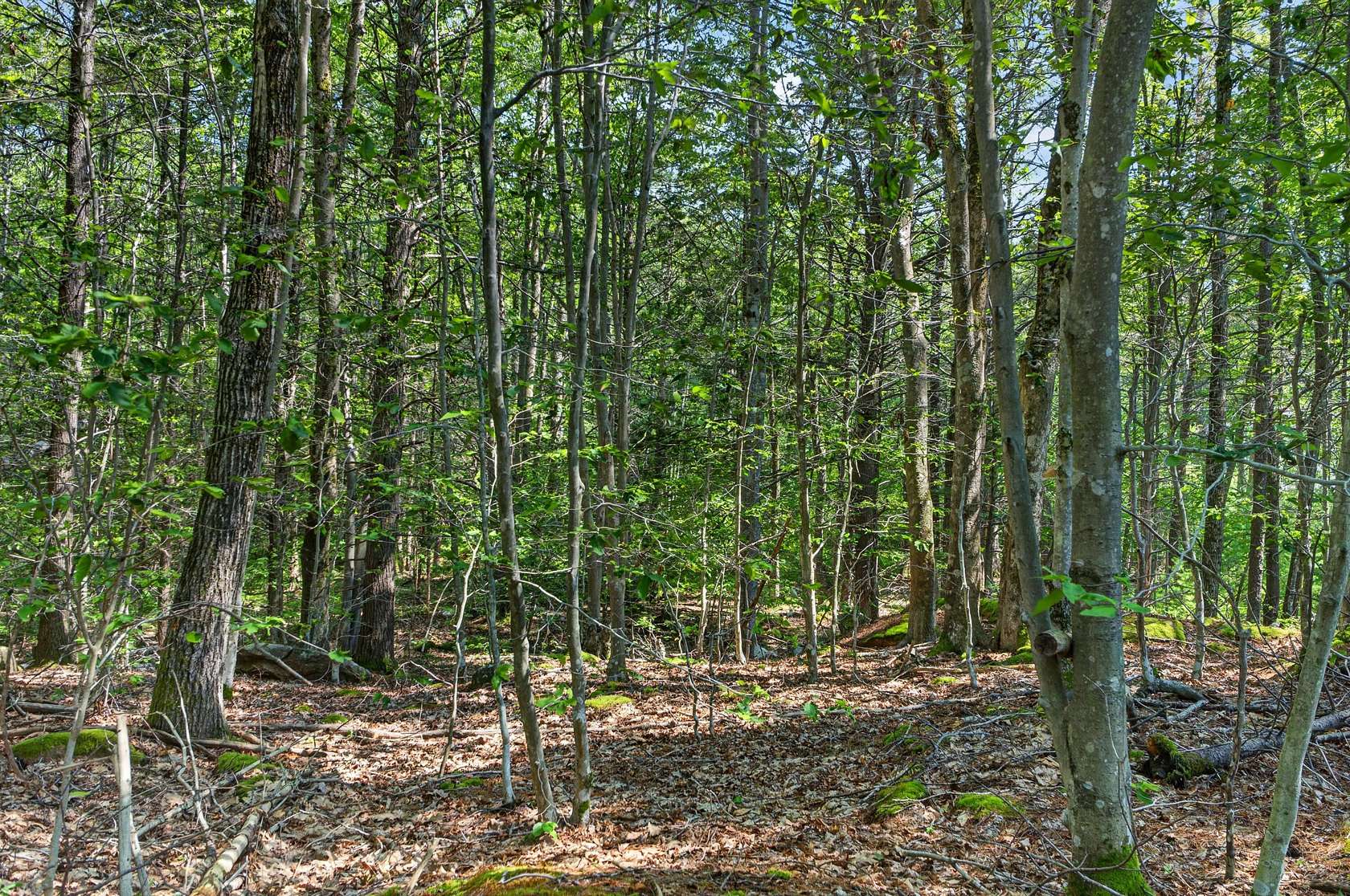 2.37 Acres of Residential Land for Sale in York Town, Maine