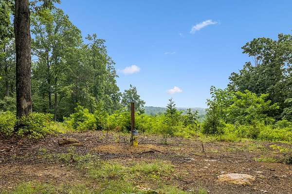 11.5 Acres of Land for Sale in Pegram, Tennessee