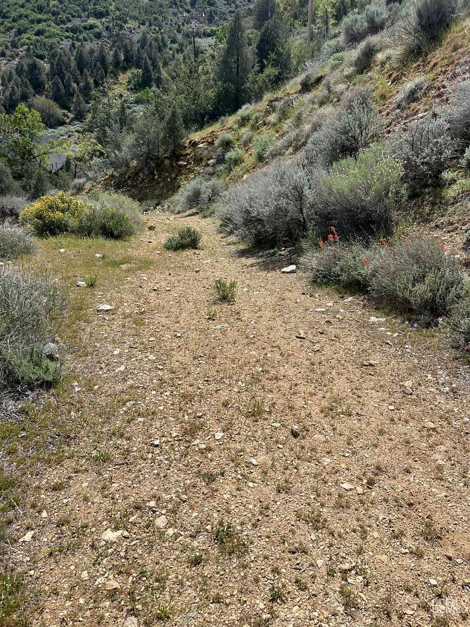 1 Acre of Land for Sale in Frazier Park, California