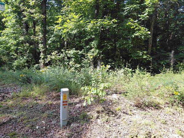 1.2 Acres of Residential Land for Sale in Ozark Acres, Arkansas