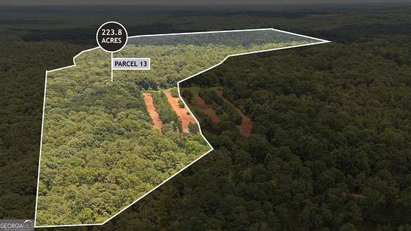224 Acres of Agricultural & Residential Land for Sale in Culloden, Georgia