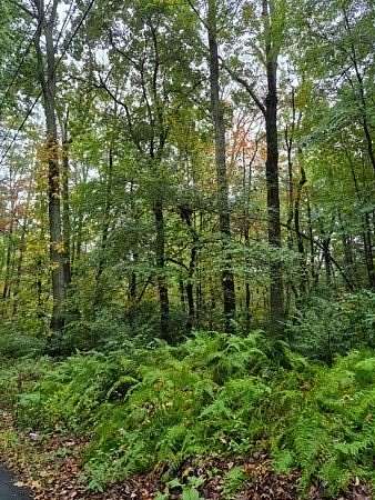 30.2 Acres of Land for Sale in Southbridge, Massachusetts