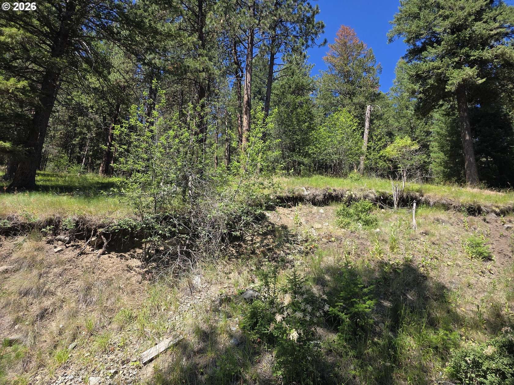 0.17 Acres of Residential Land for Sale in Joseph, Oregon