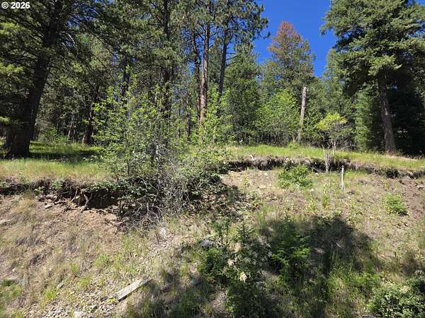 0.17 Acres of Residential Land for Sale in Joseph, Oregon