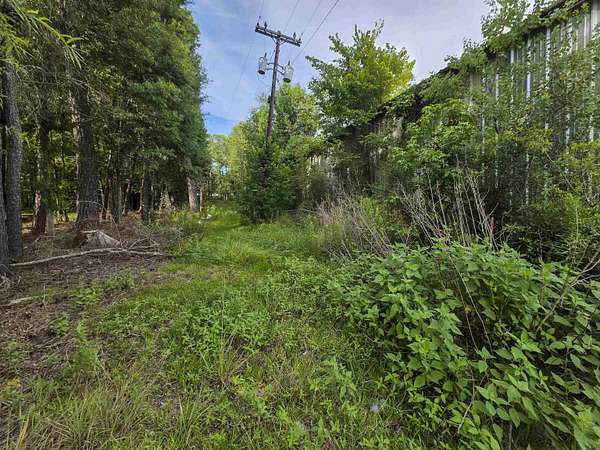 0.33 Acres of Residential Land for Sale in Evadale, Texas