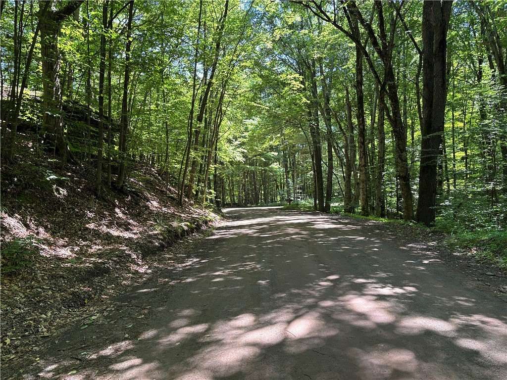 14.1 Acres of Recreational Land for Sale in Kortright Town, New York