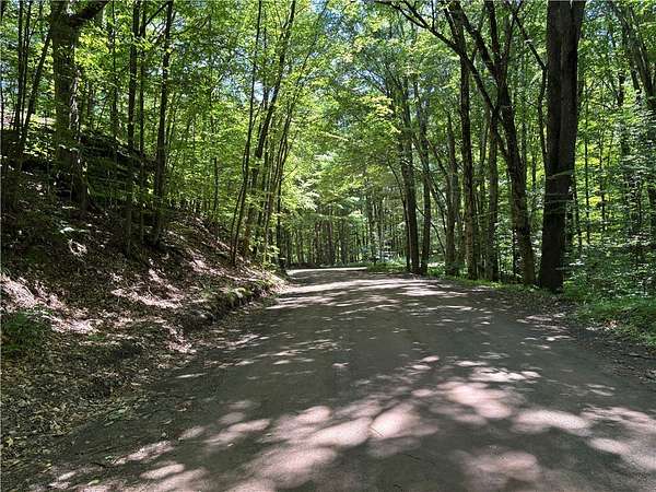 14.1 Acres of Recreational Land for Sale in Kortright Town, New York