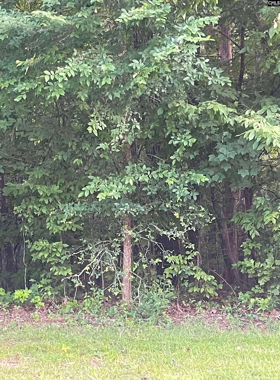 0.94 Acres of Residential Land for Sale in Columbia, South Carolina
