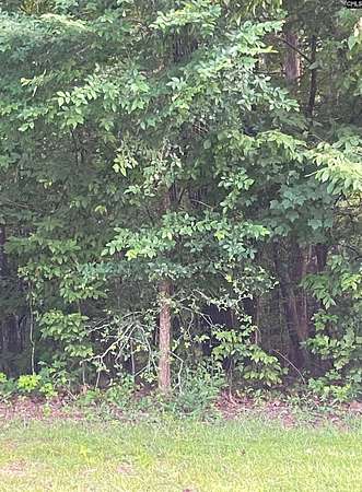 0.94 Acres of Residential Land for Sale in Columbia, South Carolina