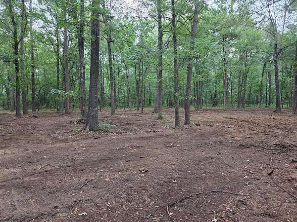 5 Acres of Residential Land for Sale in Alto, Texas