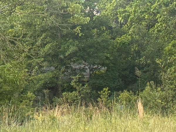 5 Acres of Improved Residential Land for Sale in Edgewood, Texas