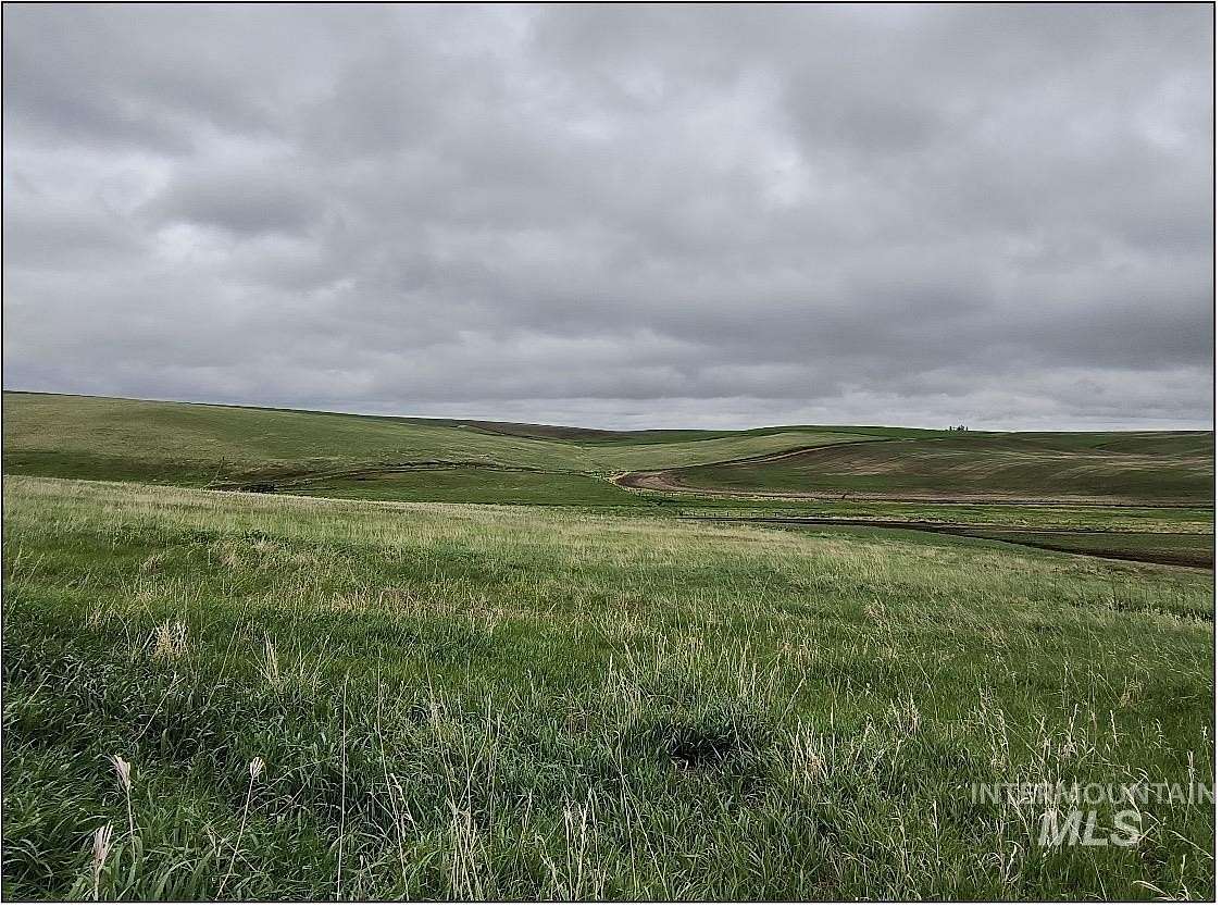 202 Acres of Land for Sale in Nezperce, Idaho