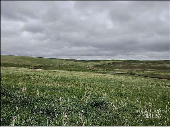 202 Acres of Land for Sale in Nezperce, Idaho