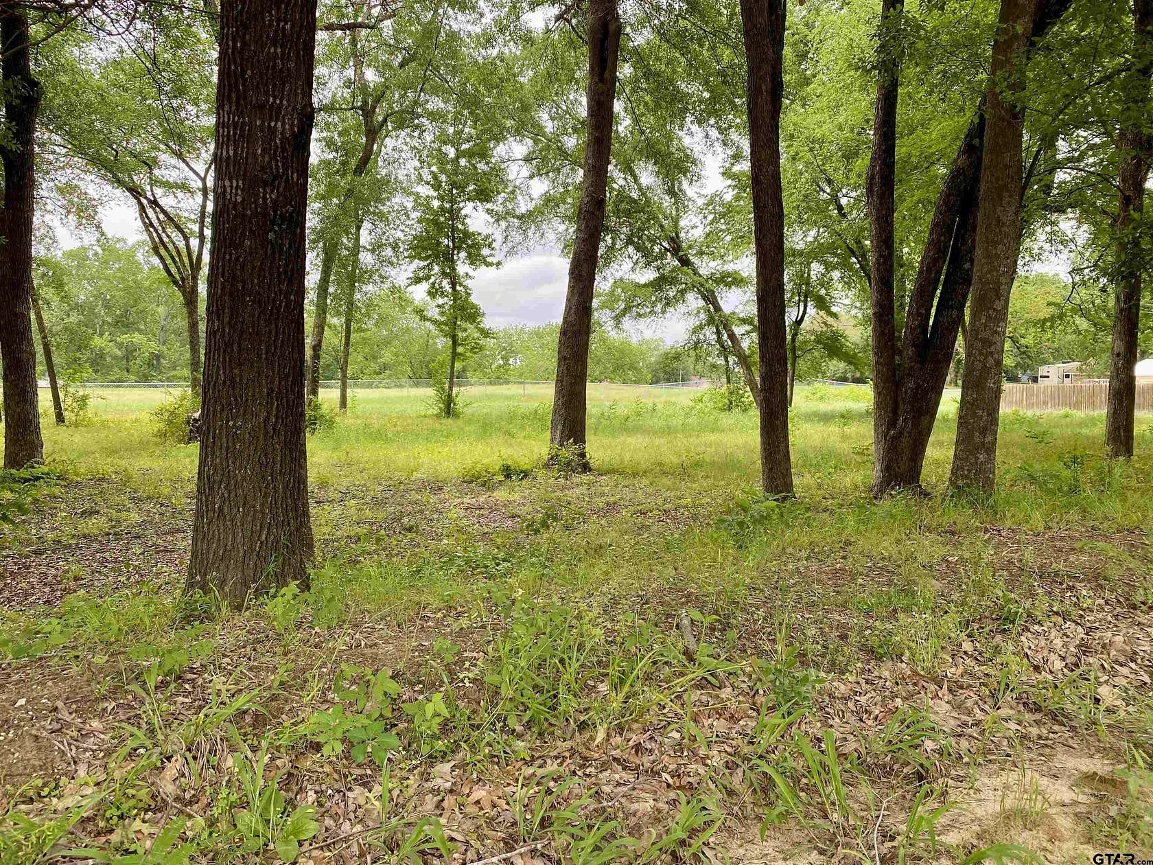 0.39 Acres of Land for Sale in Brownsboro, Texas