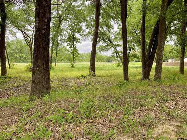 0.39 Acres of Land for Sale in Brownsboro, Texas