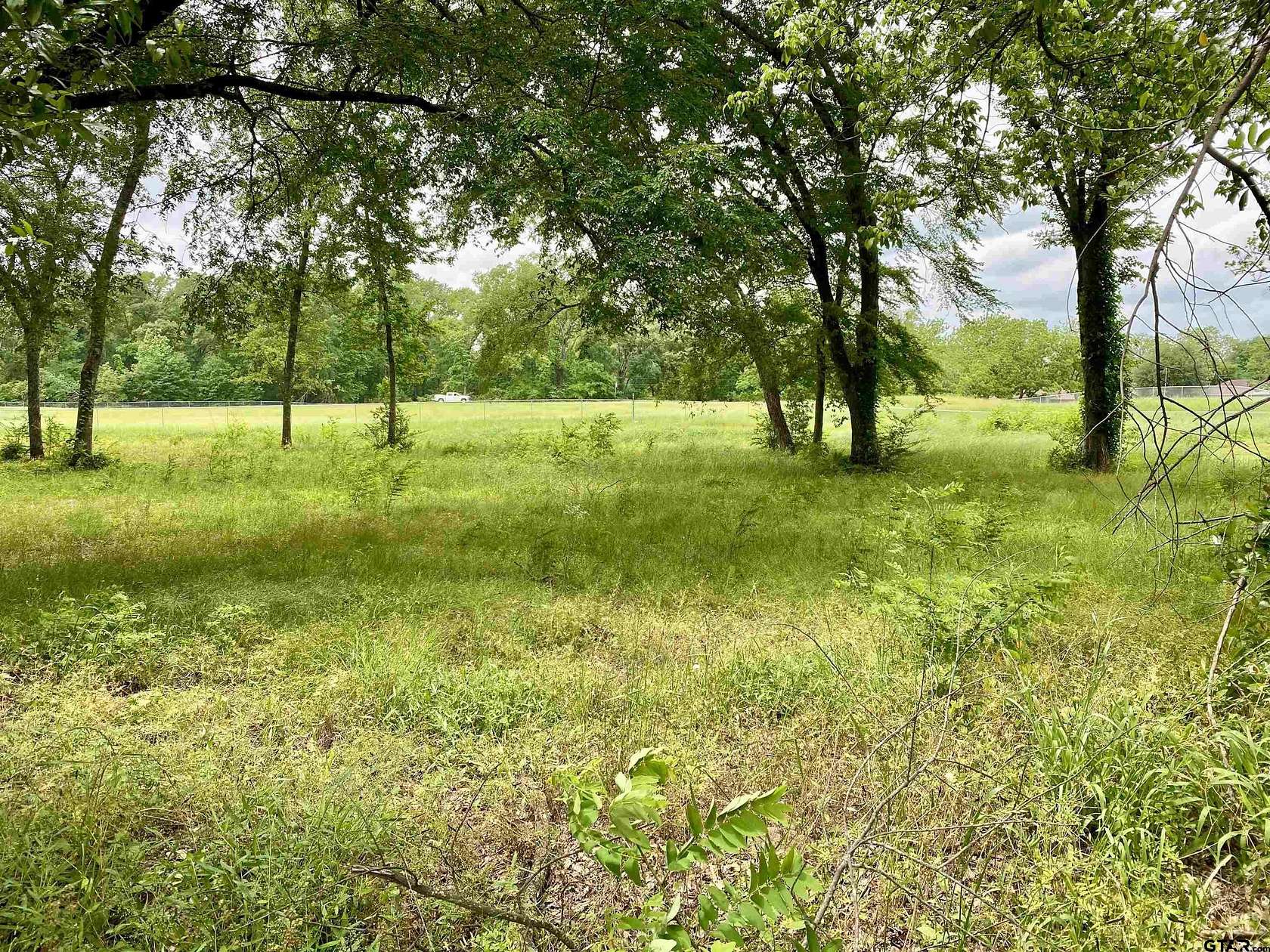 0.39 Acres of Land for Sale in Brownsboro, Texas
