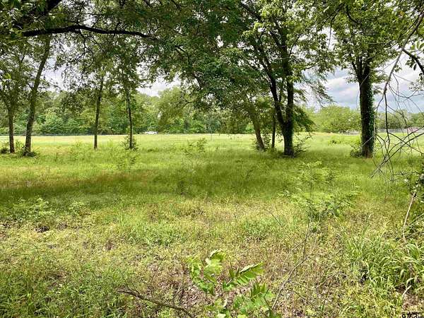 0.39 Acres of Land for Sale in Brownsboro, Texas