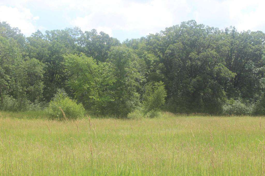 14.4 Acres of Agricultural Land for Sale in Milaca, Minnesota